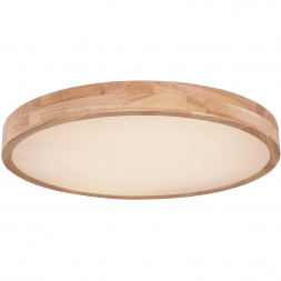 Потолочный светодиодный светильник Globo Rainer 41745-48