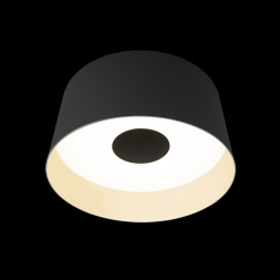 Потолочный светодиодный светильник Loft IT Duo 10360M Grey