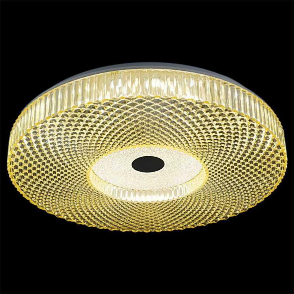 Светильник потолочный Reluce 02643-9.2-60WB