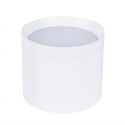 Накладной светильник Favourite 4708-1C