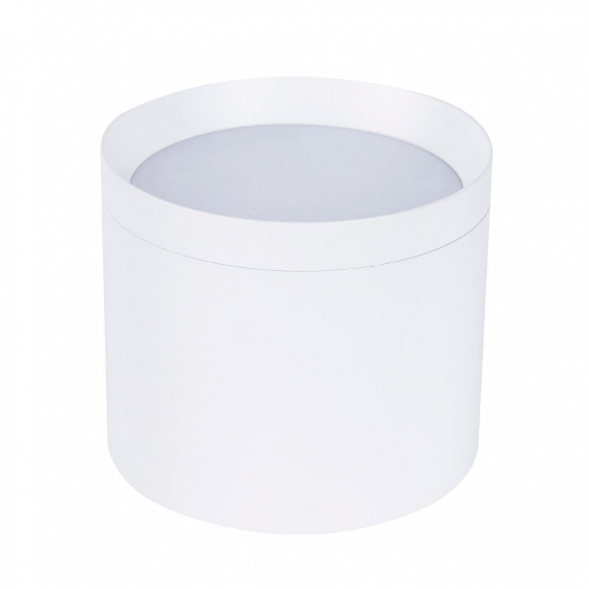 Накладной светильник Favourite 4708-1C