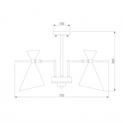 Потолочная люстра Eurosvet Apart 70114/5 белый