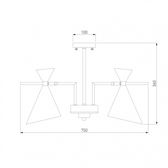 Потолочная люстра Eurosvet Apart 70114/5 белый