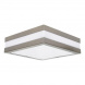 Настенный потолочный светильник Kanlux JURBA DL-218L 8981