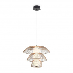 Подвесной светильник Freya Modern FR5545PL-L5BG