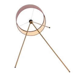 Торшер Lumion Moderni Aviola 8076/1F