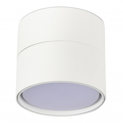 Спот ST Luce ST651.502.01