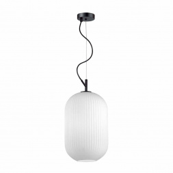 Подвесной светильник Odeon Light Pendant Roofi 4752/1