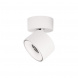 Спот Loft IT Focus 10323/A White
