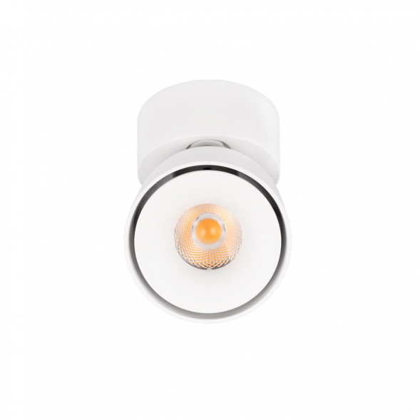 Спот Loft IT Focus 10323/A White