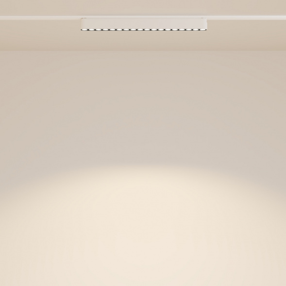 Трековый светодиодный светильник Maytoni Technical Radity Points TR082-1-18W3K-M-W