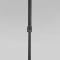 Подвесной светильник Eurosvet Pacific 50255/1 титан