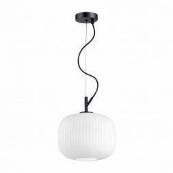 Подвесной светильник Odeon Light Pendant Roofi 4753/1