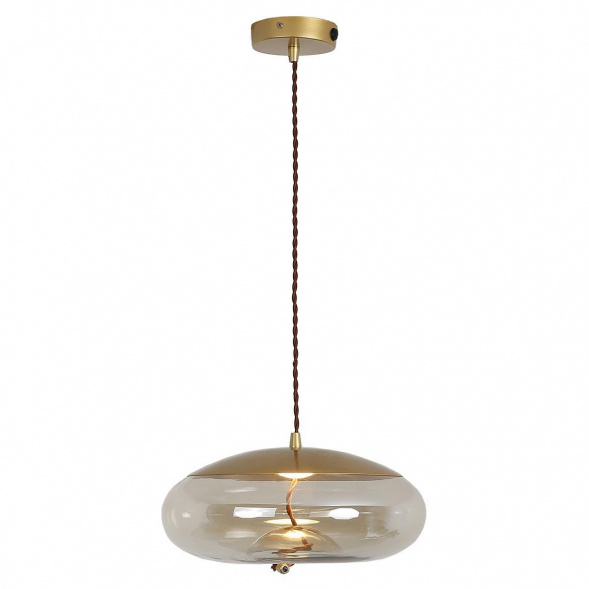 Подвесной светодиодный светильник Lussole Loft Acquario LSP-8357