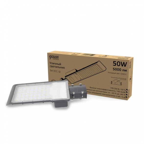Уличный светодиодный консольный светильник Gauss Avenue 629534350