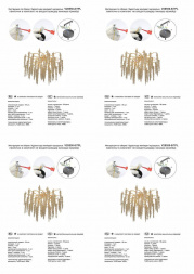 Потолочная люстра Vitaluce V28550-8/7PL