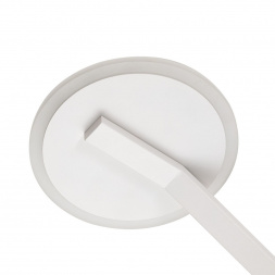 Потолочная светодиодная люстра Citilux Дуэт CL719750