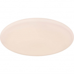 Потолочный светодиодный светильник Globo Rena 48383-50RGBSH