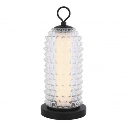 Настольная лампа ST Luce SAGUARO SL6144.404.01