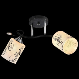 Потолочный светильник Reluce 01299-0.3-02 BK+CR