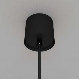 Подвесной светодиодный светильник Maytoni Technical Luna P039PL-5W4K-10-B