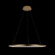 Подвесной светодиодный светильник Loft IT Ring 10014L