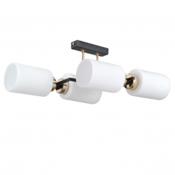 Потолочный светильник ILLUMICO IL0809-4ASQ-25 BK AB NAPLES