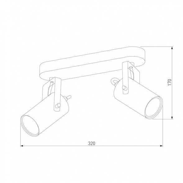 Спот TK Lighting 2798 Redo Black Gold