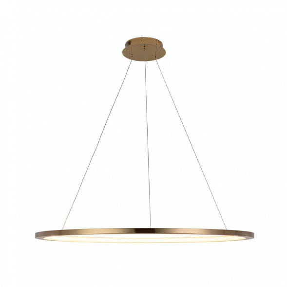 Подвесной светодиодный светильник Loft IT Ring 10014XL