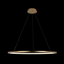 Подвесной светодиодный светильник Loft IT Ring 10014XL