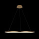 Подвесной светодиодный светильник Loft IT Ring 10014XL