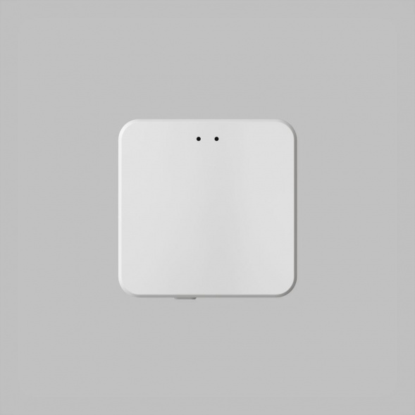 Конвертор Denkirs Control BT DK7401-WF