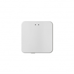 Конвертор Denkirs Control BT DK7401-WF