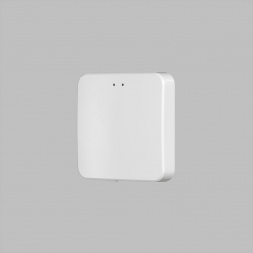 Конвертор Denkirs Control BT DK7401-WF