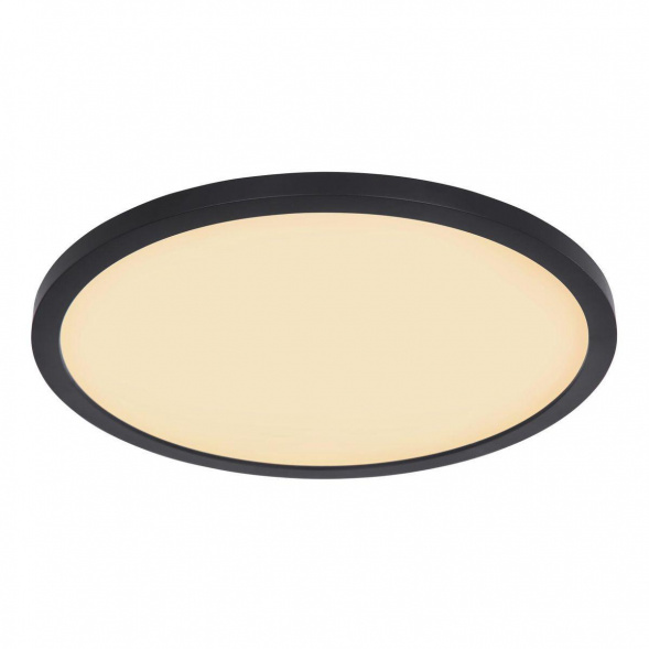 Потолочный светодиодный светильник Globo Sapana 41562-24B