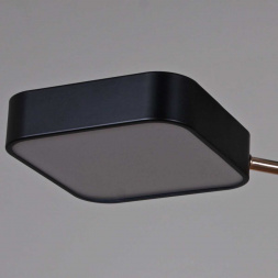 Светильник потолочный Reluce 03360-0.3-05 BK+FGD