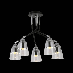 Потолочная люстра Evoluce Lirino SLE102902-05