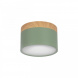 Накладной светодиодный светильник Loft IT Grape 10162 Green