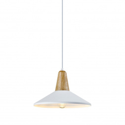 Подвесной светильник Moderli Luce V1571-1P