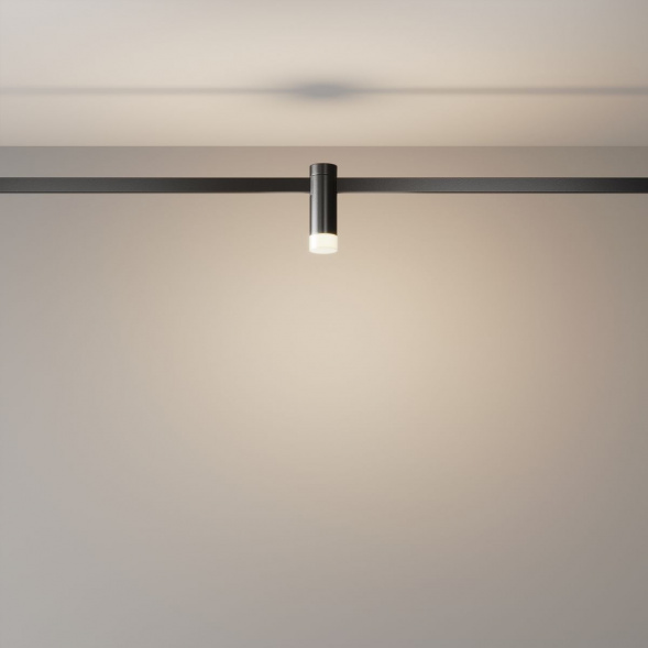 Трековый светодиодный светильник Maytoni Technical Flarity Skim TR145-1-3W3K-W-B