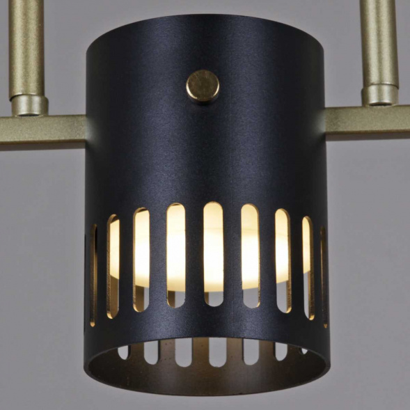 Люстра Reluce 06675-0.3-05 GD+BK GX53