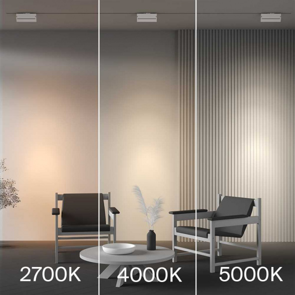 Трековый светильник Maytoni Technical TR224-1-12WCCT-M-W