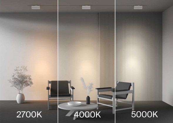 Трековый светильник Maytoni Technical TR224-1-12WCCT-M-W