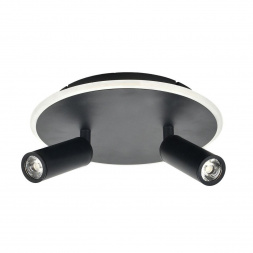 Потолочный светодиодный светильник Escada 20046SMA/02LED BK