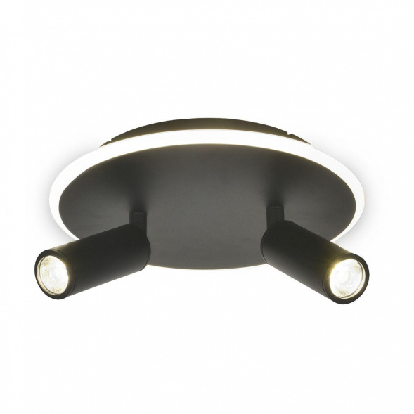 Потолочный светодиодный светильник Escada 20046SMA/02LED BK