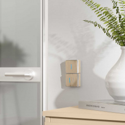 Выключатель одноклавишный с подсветкой Werkel Gallant шампань рифленый W5010110 4690389163821