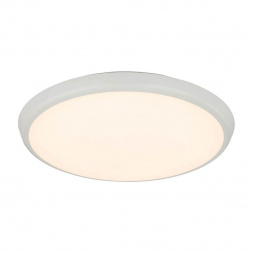 Потолочный светодиодный светильник Globo Aemon 32109S