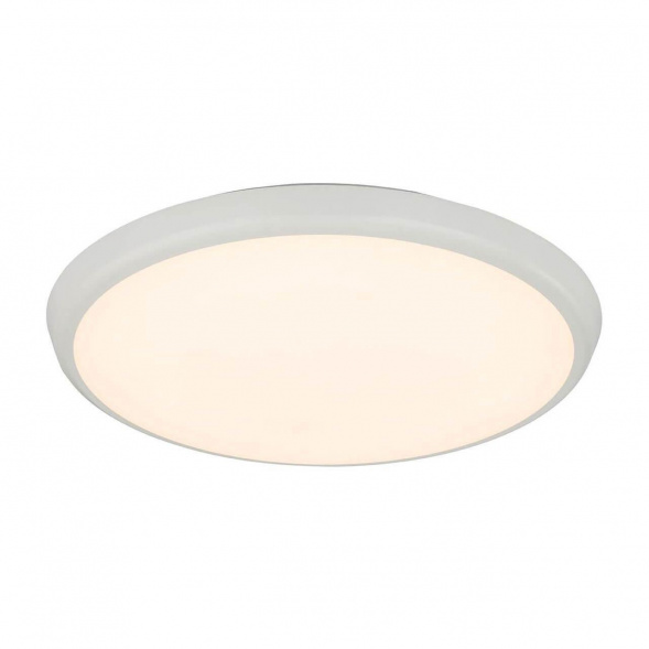 Потолочный светодиодный светильник Globo Aemon 32109S