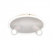 Потолочный светодиодный светильник Escada 20046SMA/02LED WH