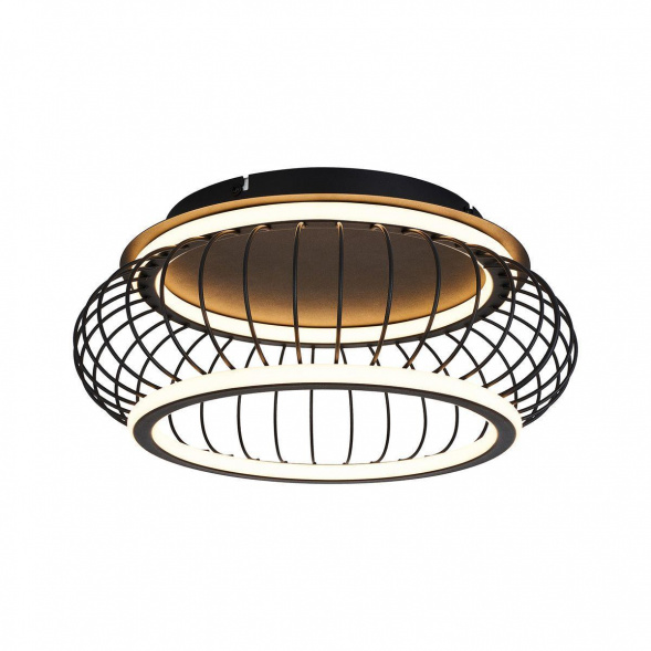 Потолочный светодиодный светильник F-Promo Korg 4435-2C